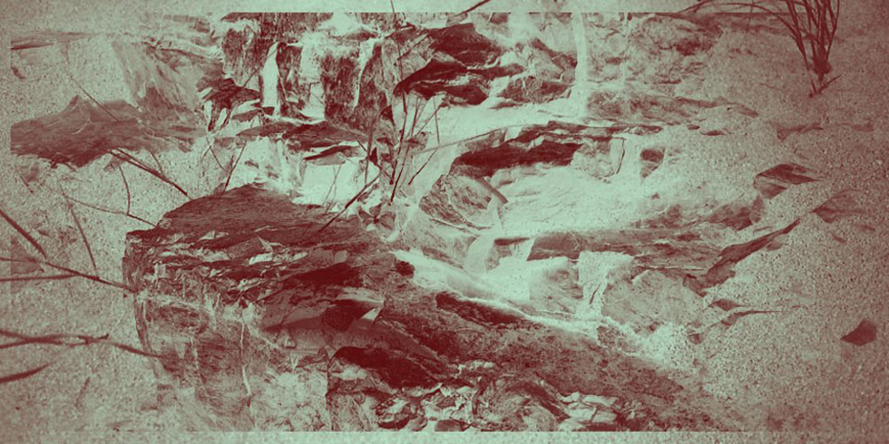 576472_531469830202766_1262909221_2n