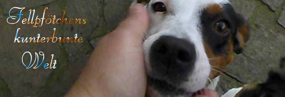 10918995_769434966469536_1722577700703547586_n